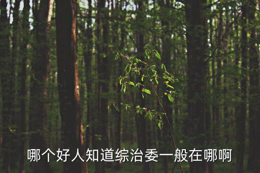 哪個(gè)好人知道綜治委一般在哪啊