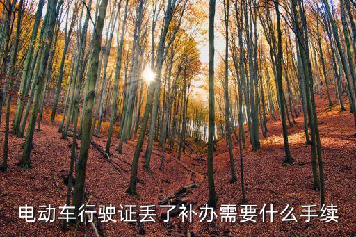 電動(dòng)車(chē)行駛證丟了補(bǔ)辦需要什么手續(xù)