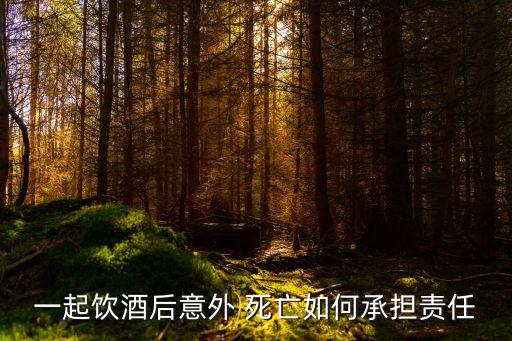 一起飲酒后意外 死亡如何承擔責任