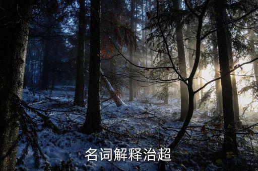 名詞解釋治超