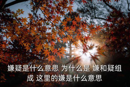 疑嫌，嫌疑是什么意思 為什么是 嫌和疑組成 這里的嫌是什么意思