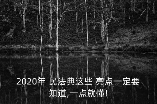 民法典合同編亮點(diǎn)解讀ppt,2020年民法典合同編亮點(diǎn)