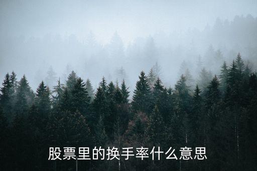 股票里的換手率什么意思