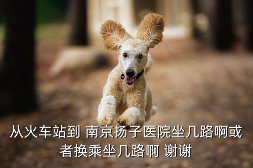 從火車站到 南京揚子醫(yī)院坐幾路啊或者換乘坐幾路啊 謝謝