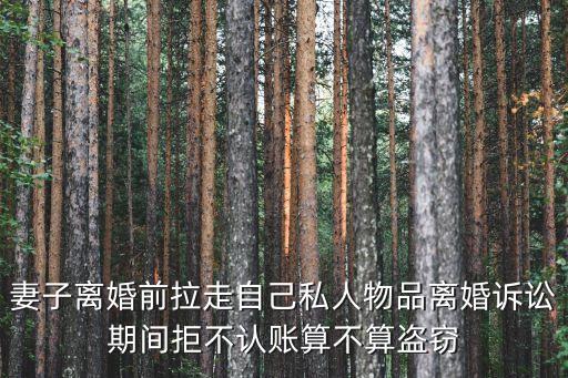 前妻不認賬，親求前妻不認賬林希的小說網(wǎng)盤