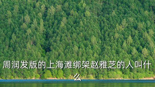 盧大偉，周潤發(fā)版的上海灘綁架趙雅芝的人叫什么