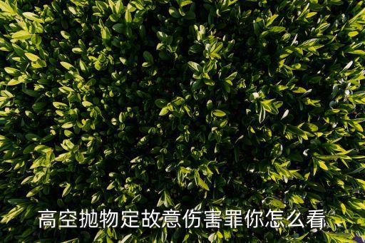 高空拋物罪，高空拋物定故意傷害罪你怎么看