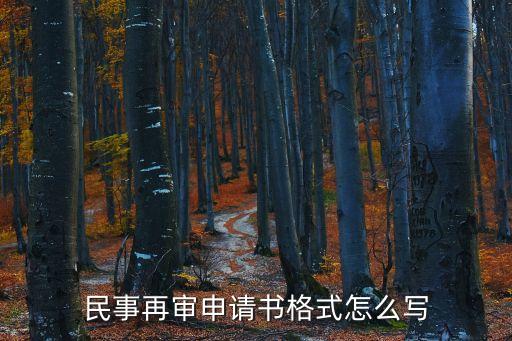 民事再審申請(qǐng)書(shū)，民事再審申請(qǐng)書(shū)怎么寫(xiě)