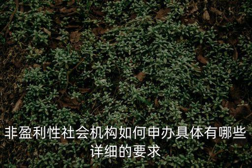非營(yíng)利性組織