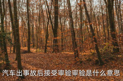 審驗(yàn)是什么意思，汽車(chē)出事故后接受審驗(yàn)審驗(yàn)是什么意思