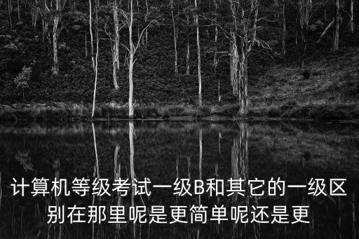 計(jì)算機(jī)等級考試一級B和其它的一級區(qū)別在那里呢是更簡單呢還是更