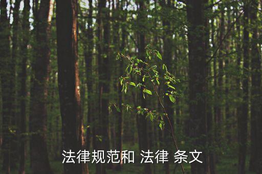 法律規(guī)則與法律條文的關系的例子,法律條文和法律規(guī)則具有對應關系嗎