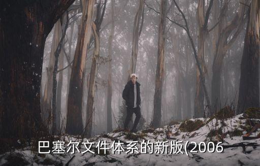 金融標準全文,金融16條全文
