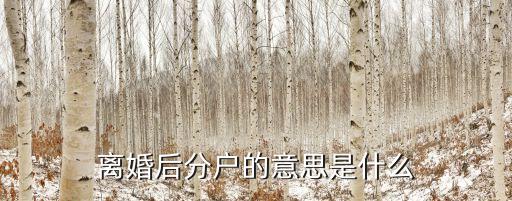 離婚后分戶的意思是什么