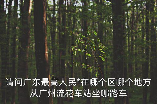 廣東高院，請問廣東最高人民*在哪個區(qū)哪個地方從廣州流花車站坐哪路車