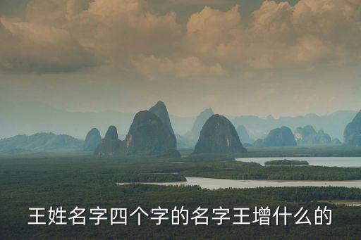 王增，王姓名字四個字的名字王增什么的