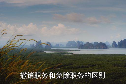 撤銷職務(wù)，如何理解撤銷行政職務(wù)