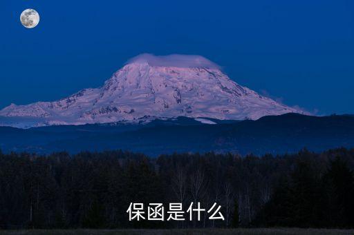 保函是什么