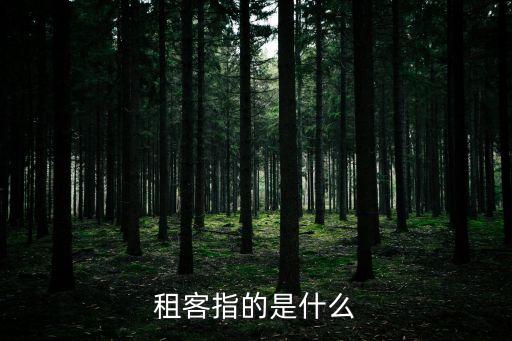 租客，租客是個什么概念希望詳解成為租客一族最需要注意的又是什