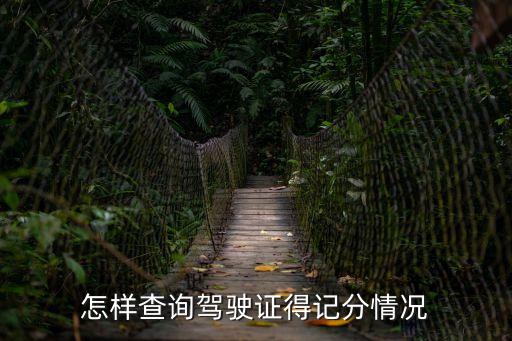 駕駛證分查詢，怎樣查詢駕駛證得記分情況