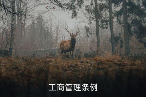 公司登記管理?xiàng)l例，工商管理?xiàng)l例