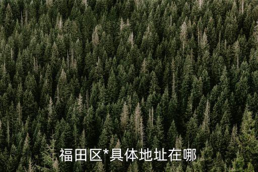 福田區(qū)*具體地址在哪