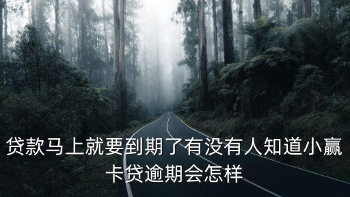 小贏卡貸逾期，有被小贏卡貸起訴的嗎跪求知道