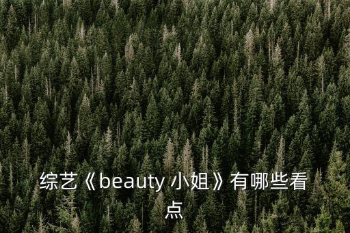 綜藝《beauty 小姐》有哪些看點