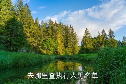 失信人名單，被*納入失信名單怎么解除