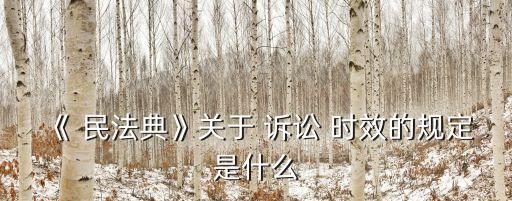 民法總則訴訟時(shí)效