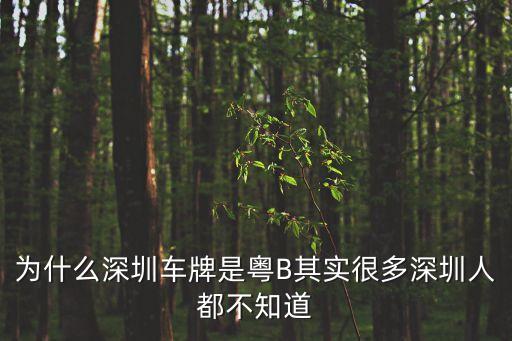 深圳牌照，深圳車的車牌是什么