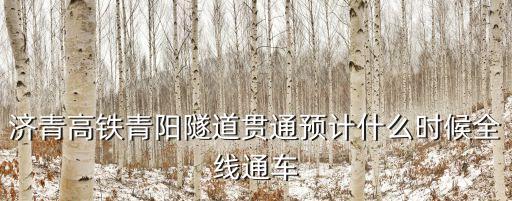 姜長(zhǎng)興，A市甲縣城關(guān)鎮(zhèn)退休老工人姜長(zhǎng)興在該鎮(zhèn)有私房四間因患癌癥急需