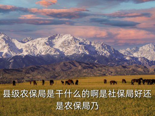 農(nóng)保局，勞動局是干什么的農(nóng)保局呢