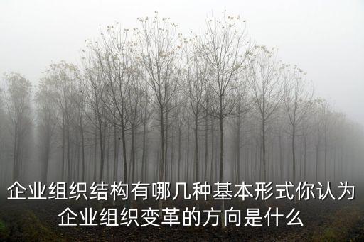 企業(yè)組織機(jī)構(gòu)，制造企業(yè)的基本組織結(jié)構(gòu)及各部門的職責(zé)及功能