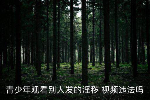 黃色視頻網(wǎng)絡(luò)