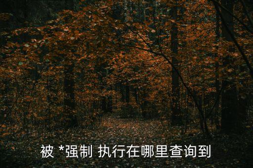 全國*被執(zhí)行
