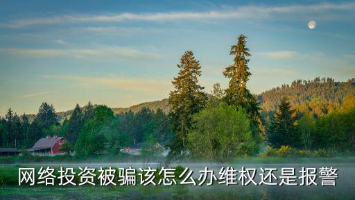 被騙虧損,期貨虧損被騙怎么辦