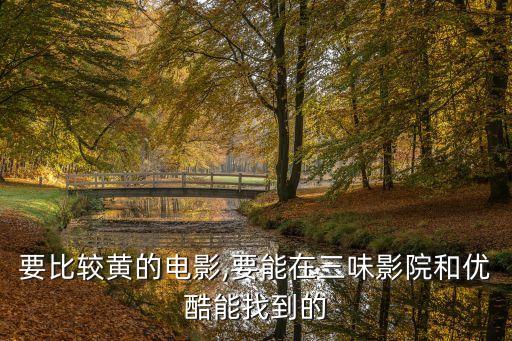 要比較黃的電影,要能在三味影院和優(yōu)酷能找到的