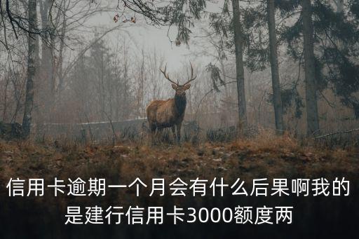 信用卡逾期一個月會有什么后果啊我的是建行信用卡3000額度兩