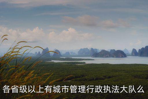 各省級以上有城市管理行政執(zhí)法大隊么