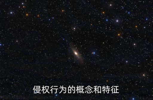 侵權(quán)行為的概念和特征