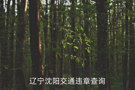 沈陽違章查詢，遼寧沈陽交通違章查詢