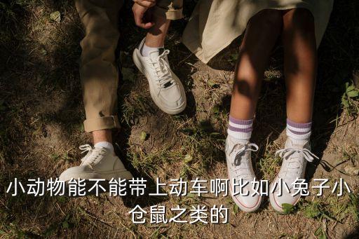 高鐵上能帶寵物嗎，動(dòng)車可以帶動(dòng)物么