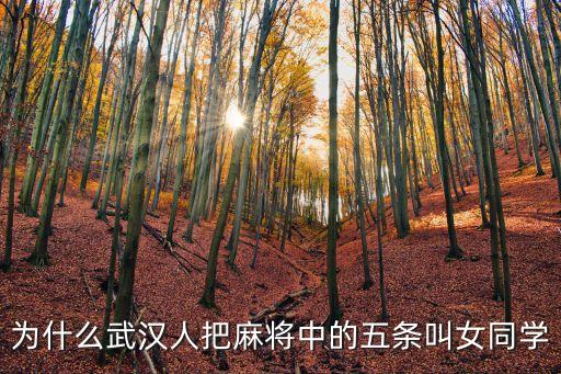 無條，形容混亂而無條理的成語第三個(gè)字是開字的