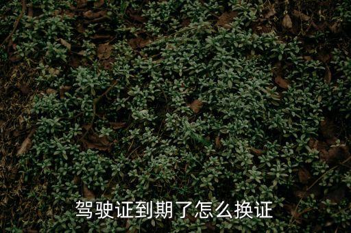 如何換駕駛證，駕駛證換證流程是如何的