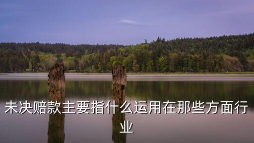 未決賠款主要指什么運(yùn)用在那些方面行業(yè)
