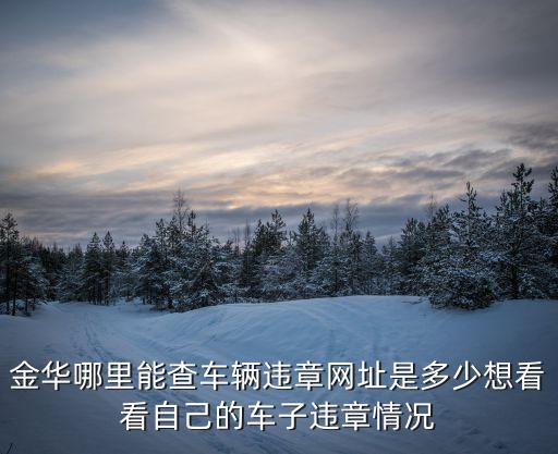 金華哪里能查車輛違章網(wǎng)址是多少想看看自己的車子違章情況