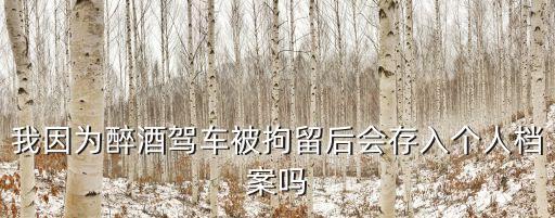 醉駕有案底嗎，醉駕危險駕駛罪留有案底嗎