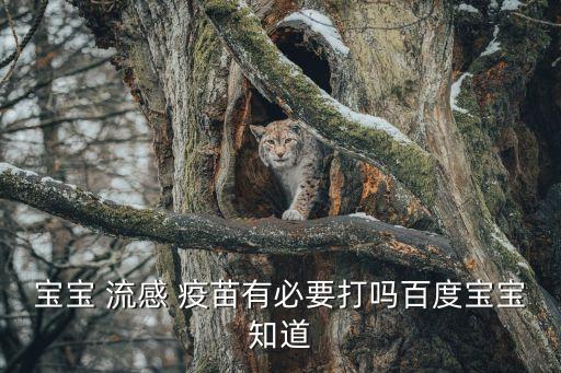流感疫苗有必要接種嗎,b型流感疫苗有必要接種嗎