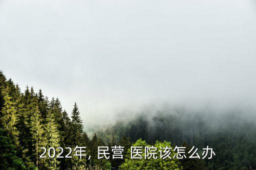 民營醫(yī)院
